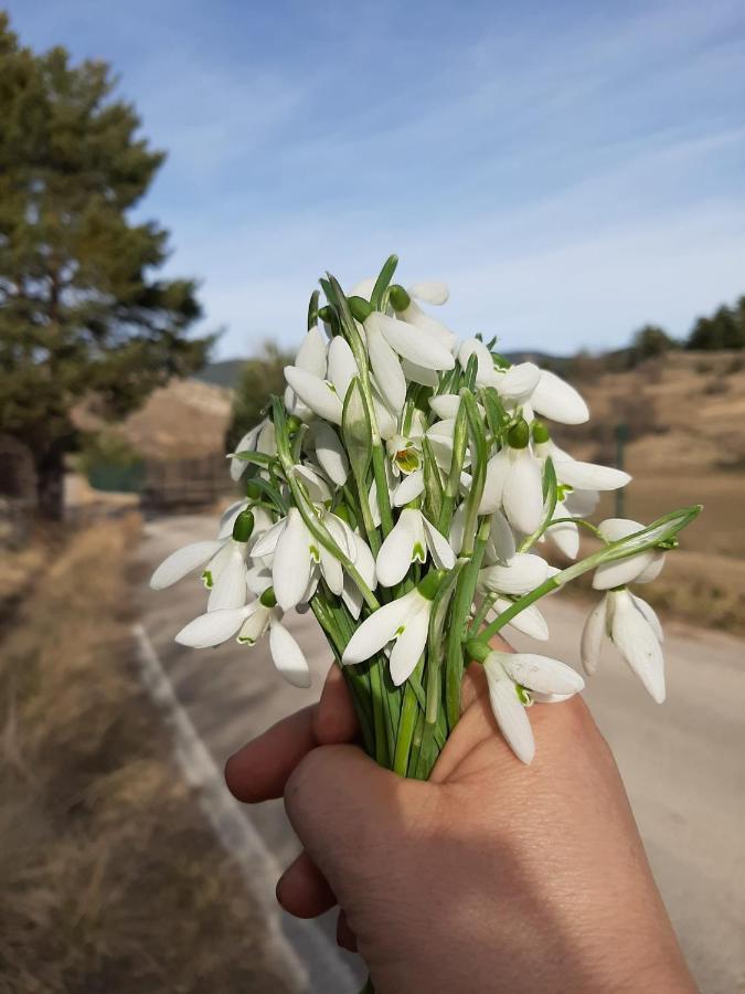 Apartamento La Montesa La Virgen de la Vega Exteriér fotografie