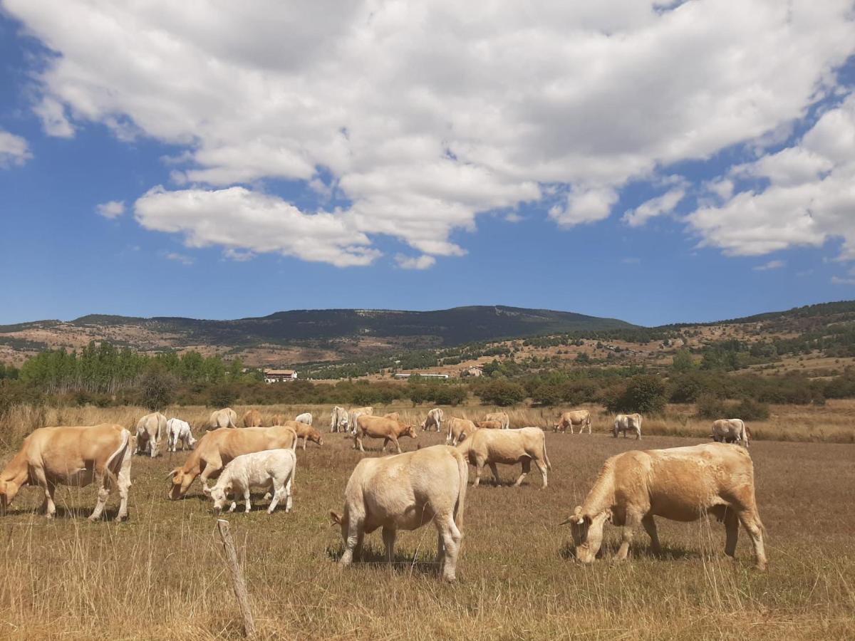 Apartamento La Montesa La Virgen de la Vega Exteriér fotografie